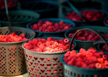 Planting of fruit species on slopes and terraces as a measure against landslide processes in Khulo 