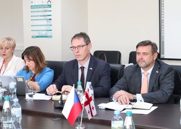 Establishment of Children’s long-term care services in Georgia