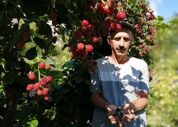 CCRG supports the creation of more than 200 new work places in Upper Adjara