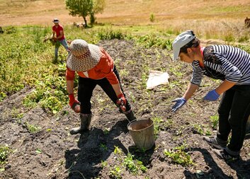 როგორ ამცირებს კარიტასი გარემოს ზეგავლენას