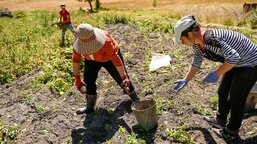 How is Caritas reducing its environmental footprint