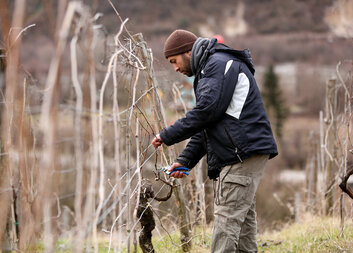 Together with Slovak Aid, Czech Caritas supports mountainous Racha