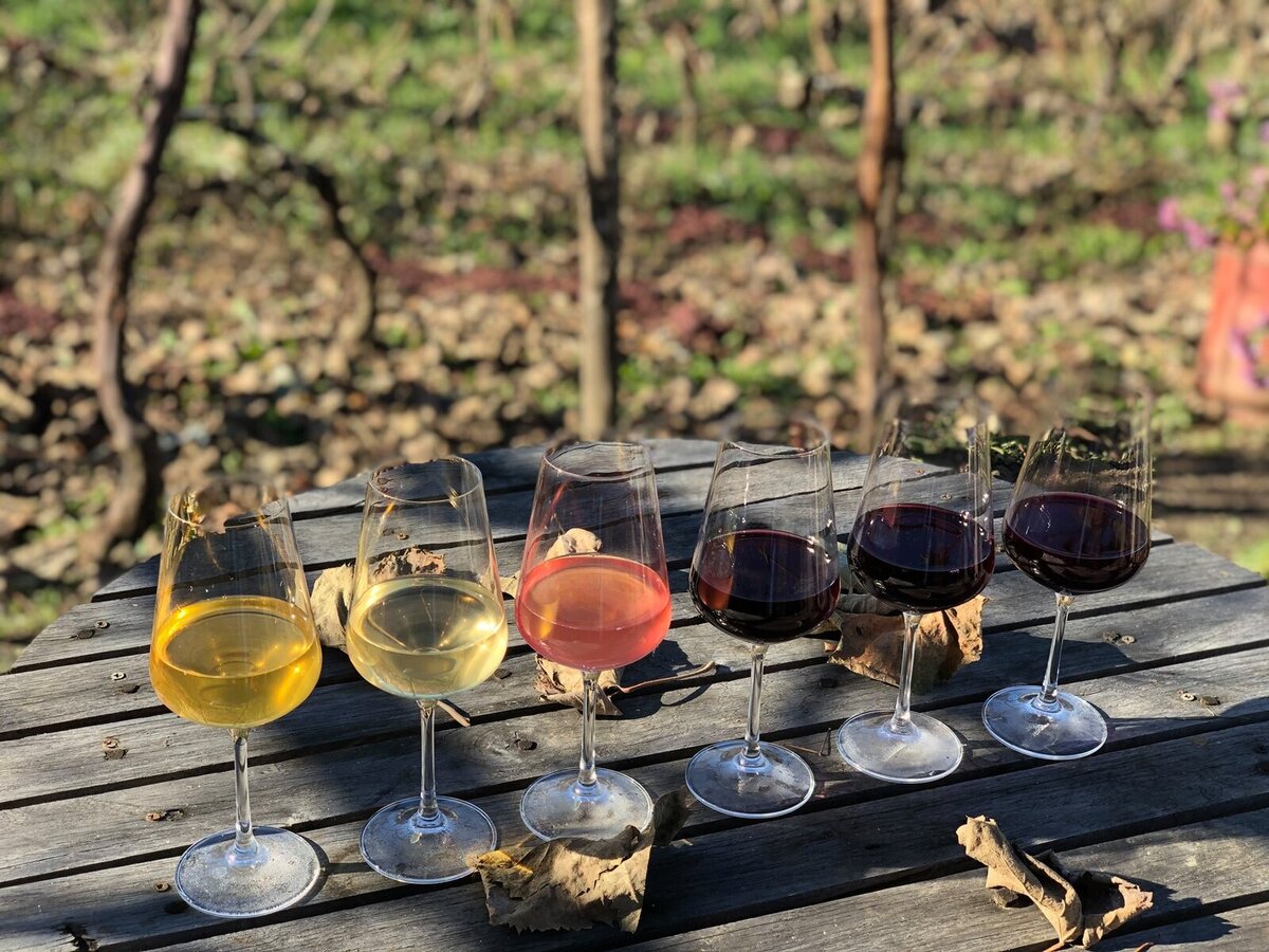 147971587_727957974573865_7181853189328799948_n 147971587_727957974573865_7181853189328799948_n