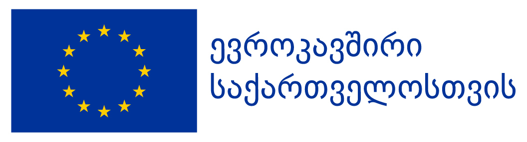 EU4Georgia Horizontal Geo EU4Georgia Horizontal Geo