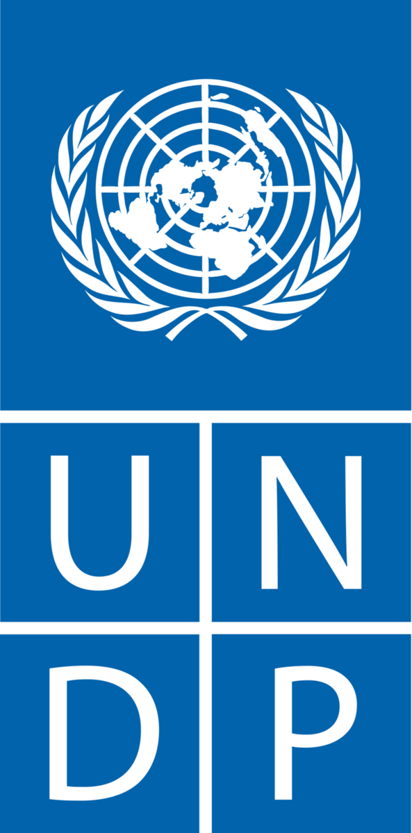 UNDP UNDP