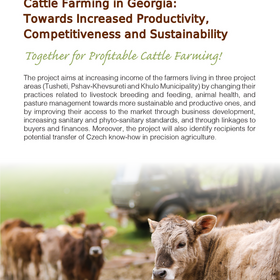 Supporting Sustainable Cattle Farming in Georgia