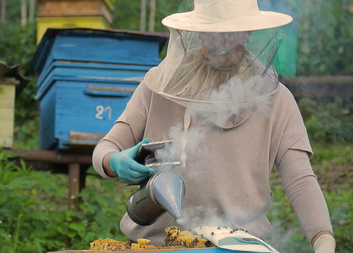  ქალი მეწარმე ალპური ზონიდან აფართოებს თავის ბიზნესს