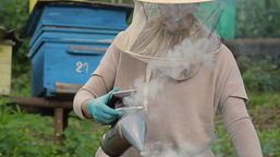  ქალი მეწარმე ალპური ზონიდან აფართოებს თავის ბიზნესს