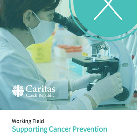 Supporting Cancer Prevention Activities in Georgia