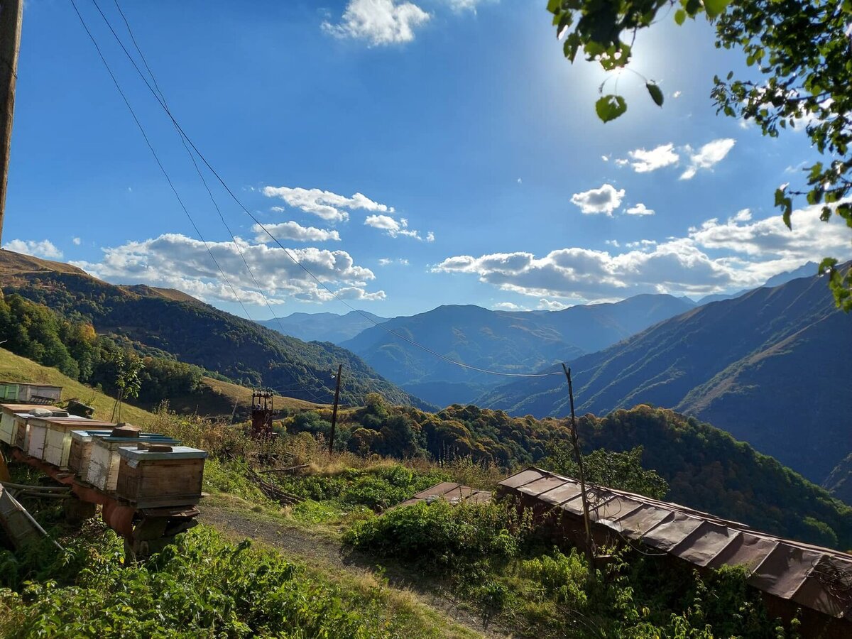 311127768_8063657450372185_5140662446703145122_n 311127768_8063657450372185_5140662446703145122_n