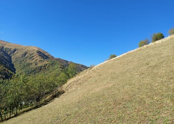 როგორ გაიზრდება მაღალმთიან რეგიონებში მცხოვრები ფერმერთა შემოსავლები
