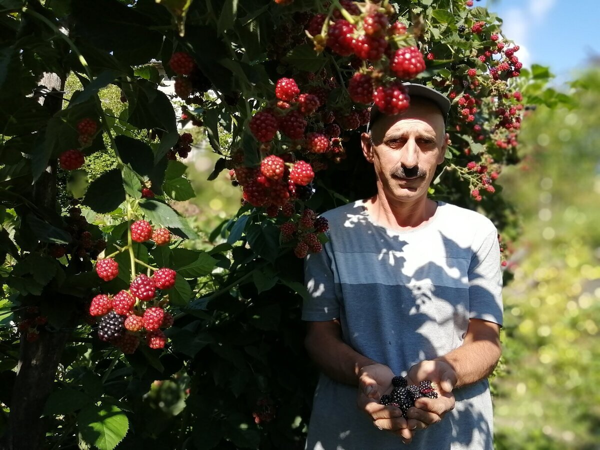 Guram Dzirkvadze 5 Guram Dzirkvadze 5